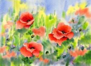 Beautiful poppies flowers background №53100