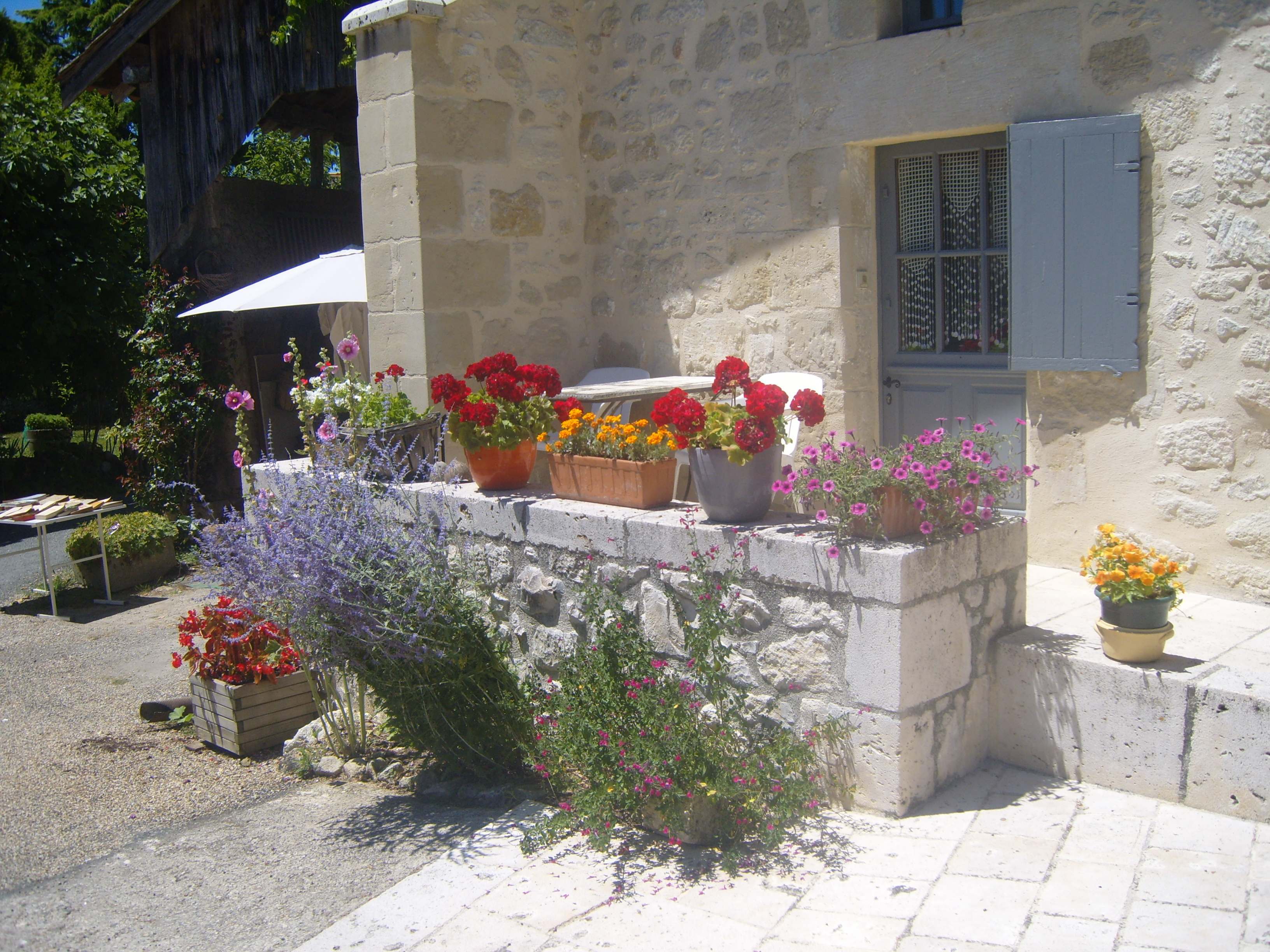 A Doorstep of Flowers SAA