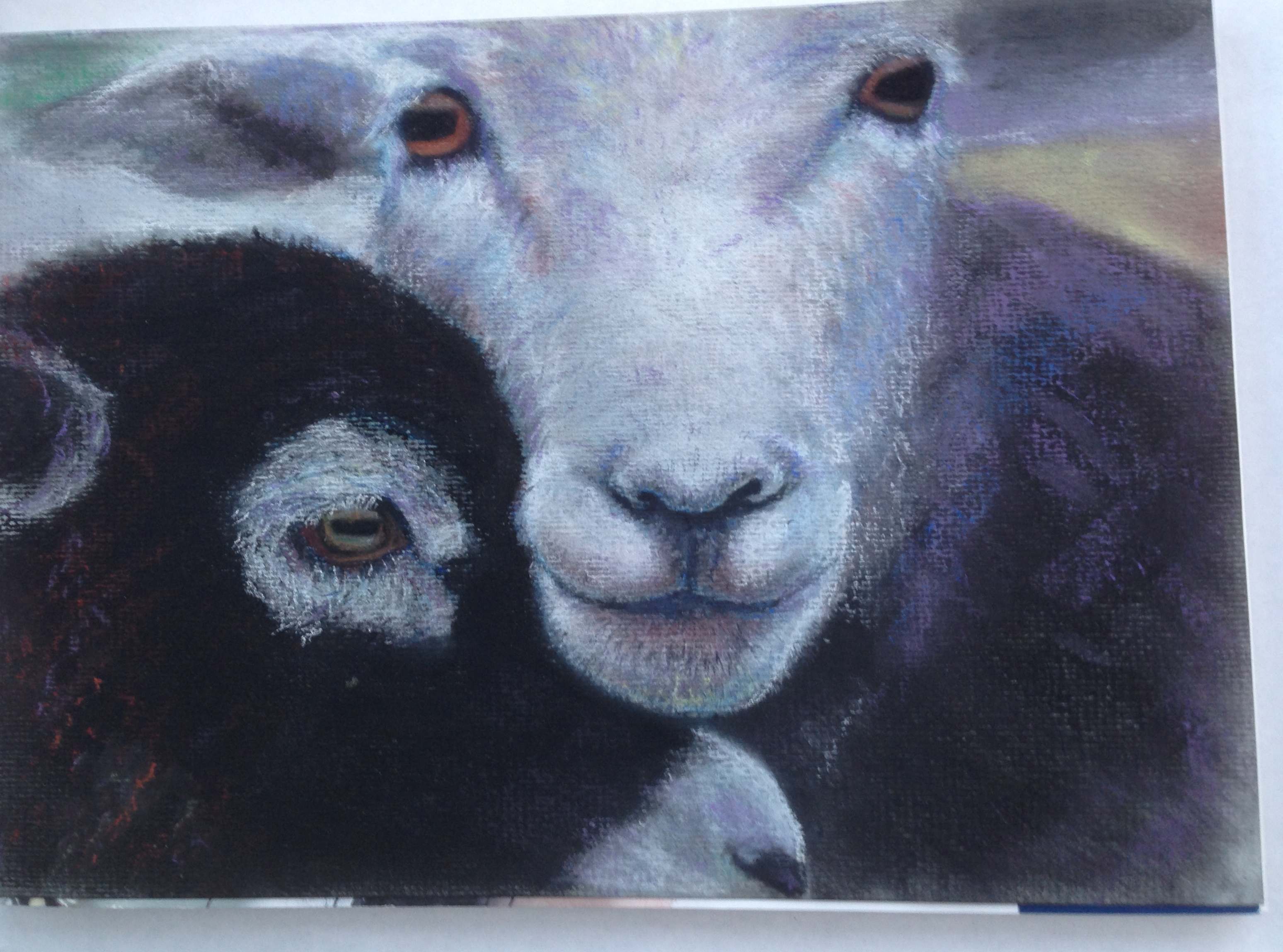 Fleur Brown – Herdwick Ewe & Lamb - SAA