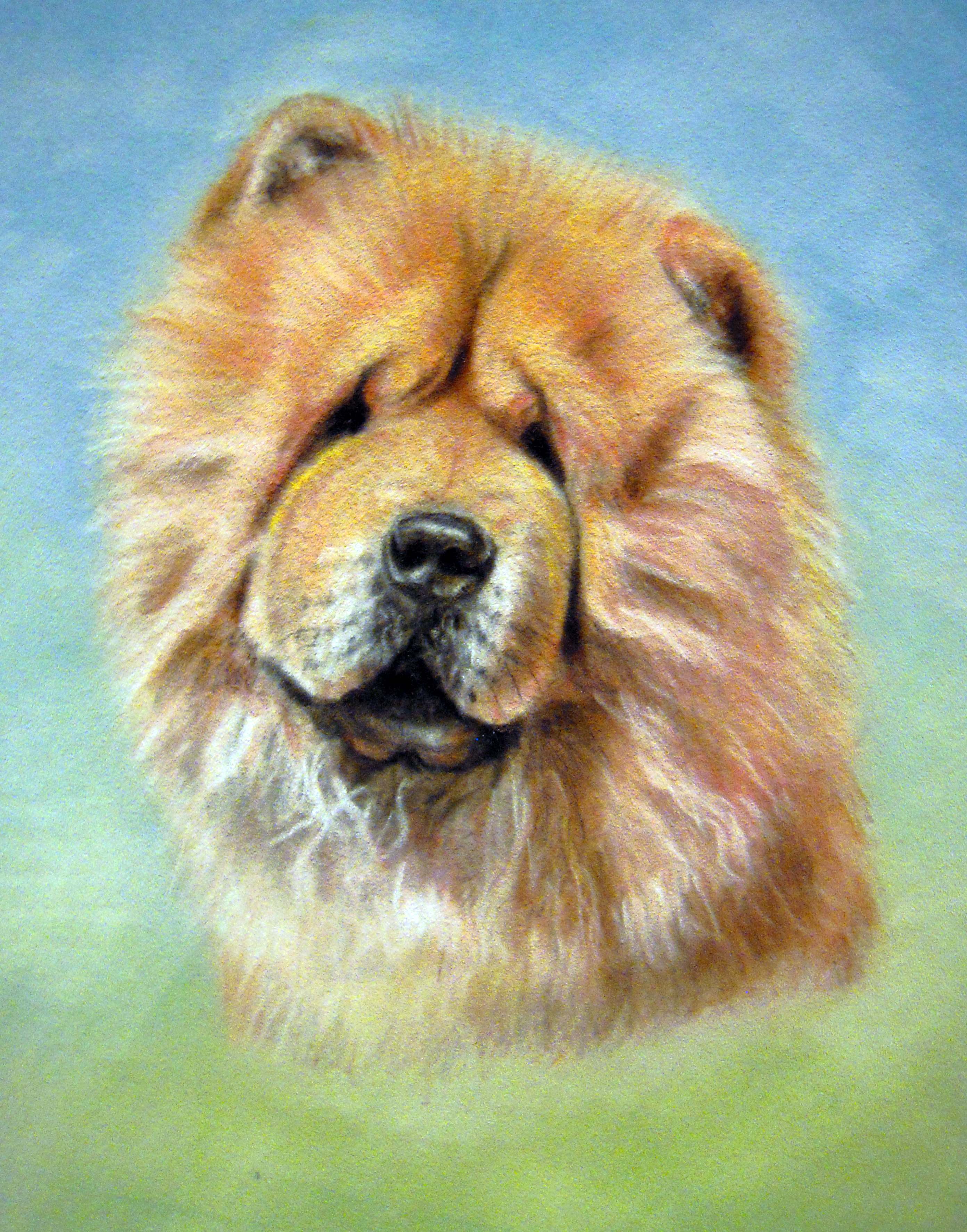 chow chow chinese