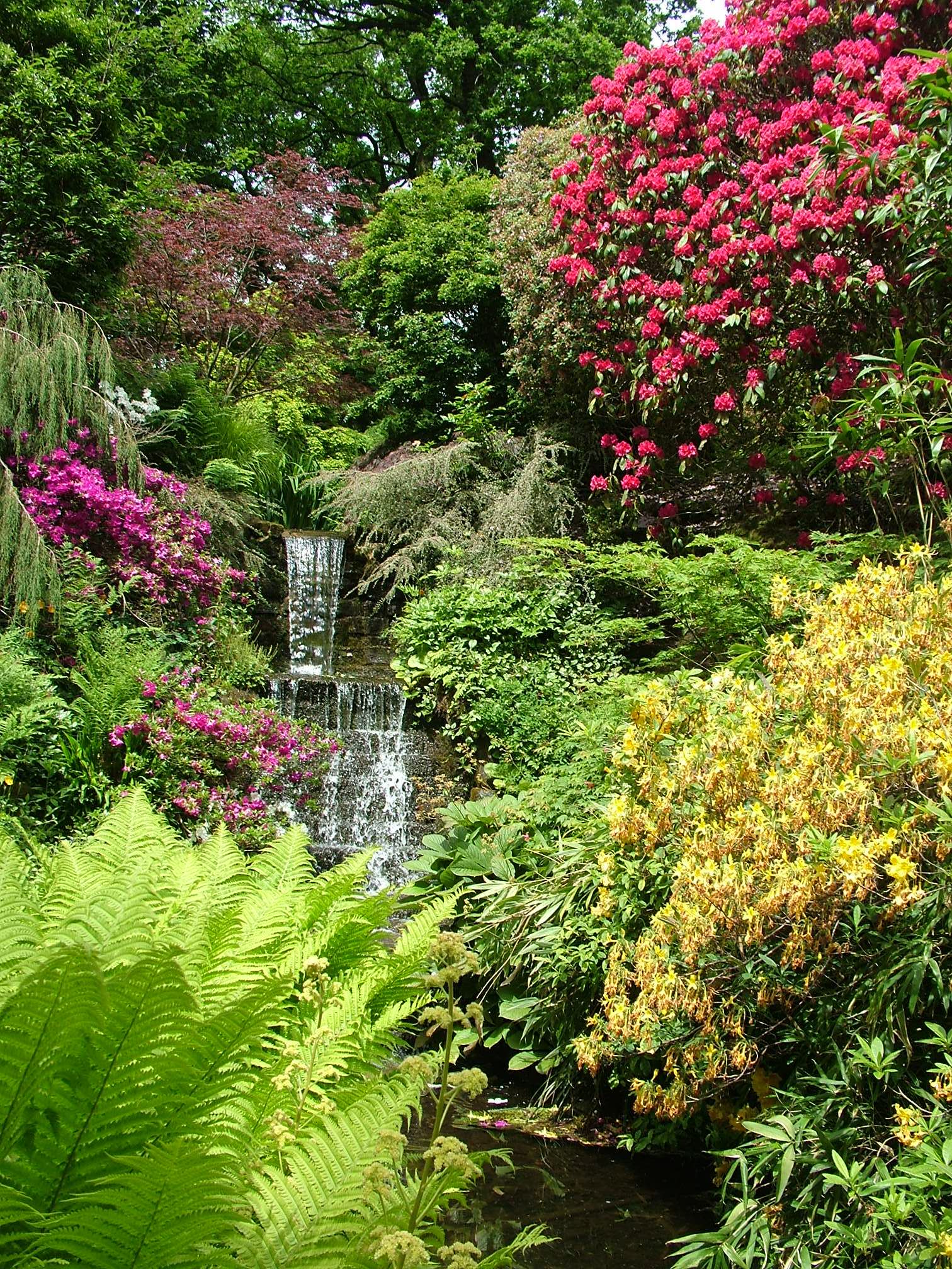 Tim Brooks Waterfall At Dorothy Clive Gardens SAA