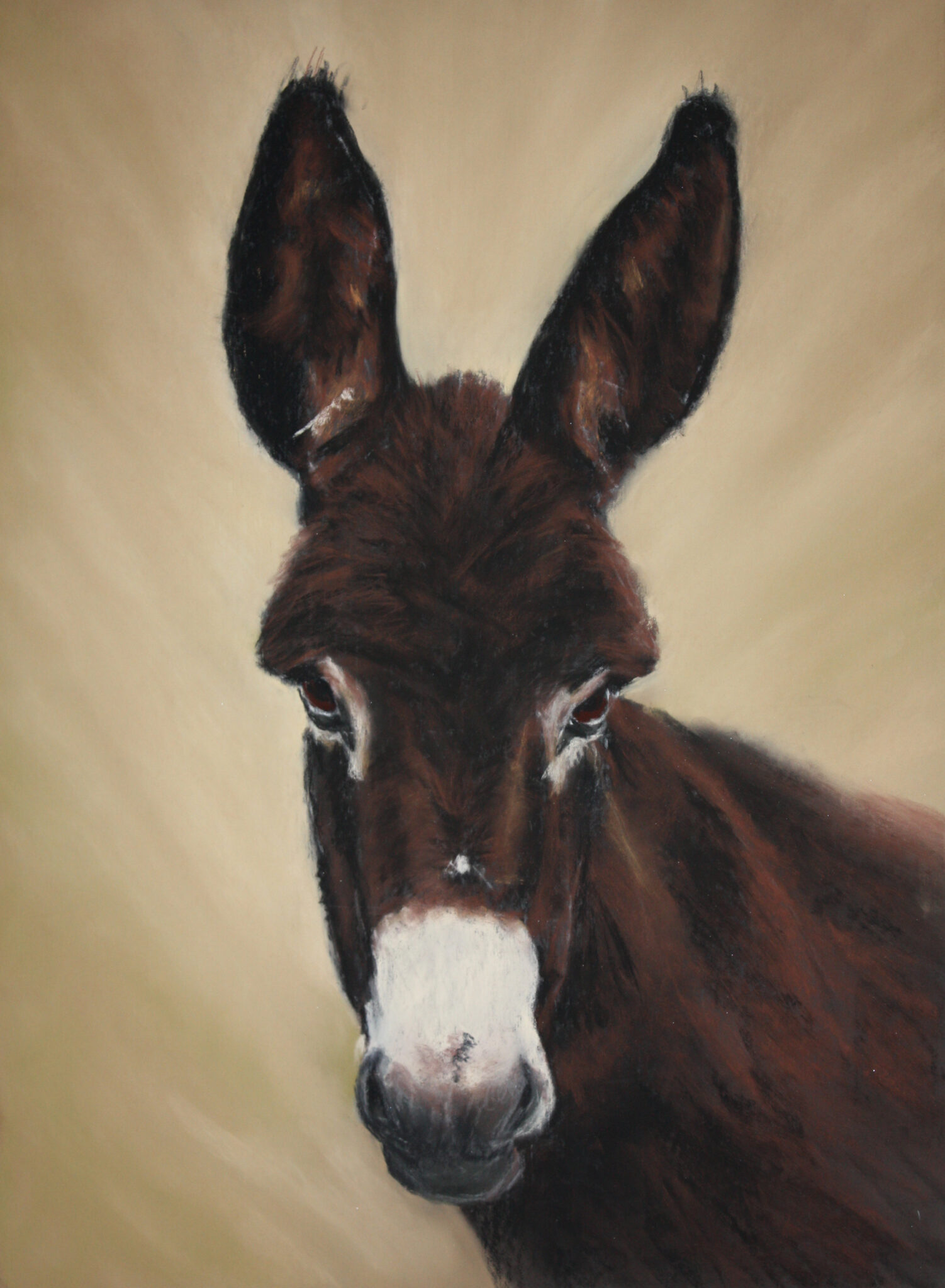 How to Paint a Donkey in Pastels with Catherine Inglis - SAA