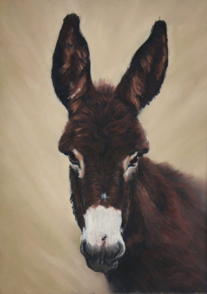 How to Paint a Donkey in Pastels with Catherine Inglis - SAA