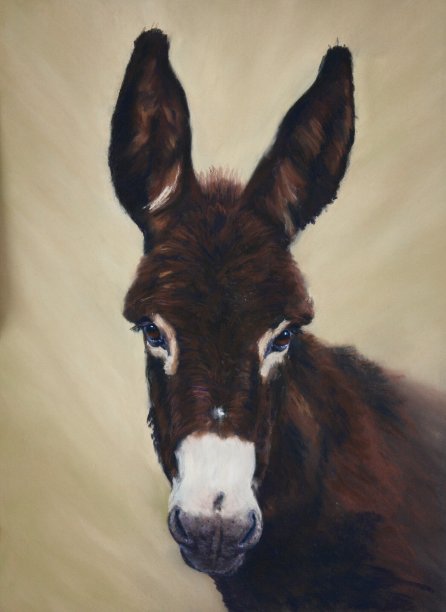 How to Paint a Donkey in Pastels with Catherine Inglis - SAA