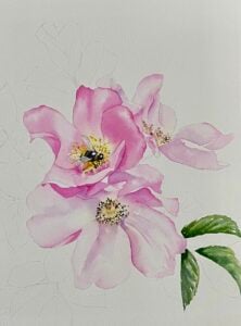 watercolour botanical rose pink