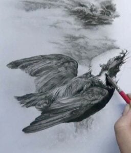 Charcoal Kingfisher Becky Gouverneur