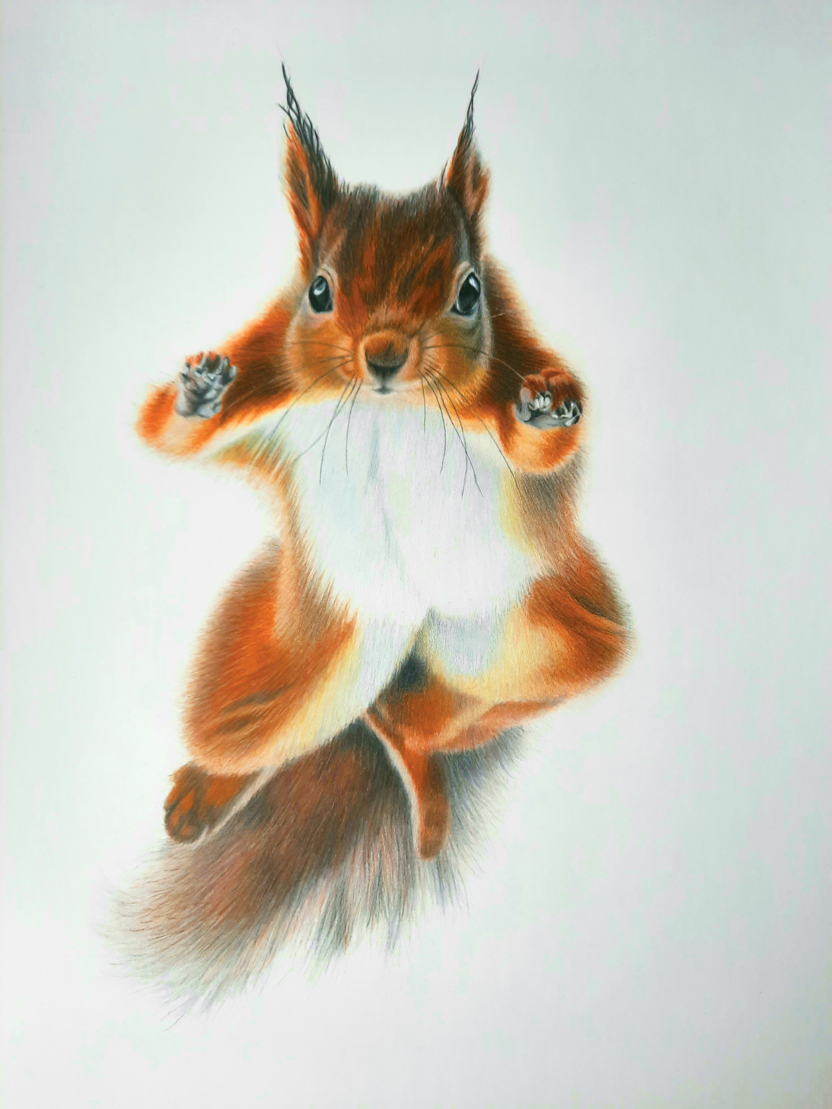 Burnt Orange Yarn | 'Red Squirrel' (Dyed to Order)