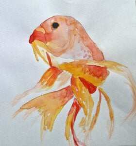 Goldfish - sketch 1