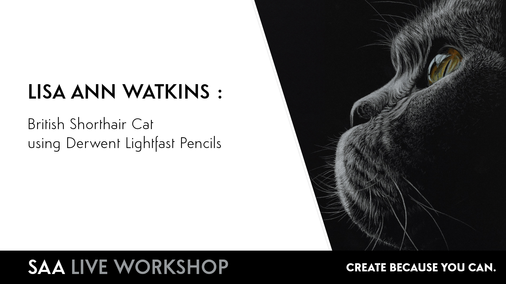 SAA Live – Lisa Ann Watkins – British Shorthair Cat in Derwent Lightfast Pencils