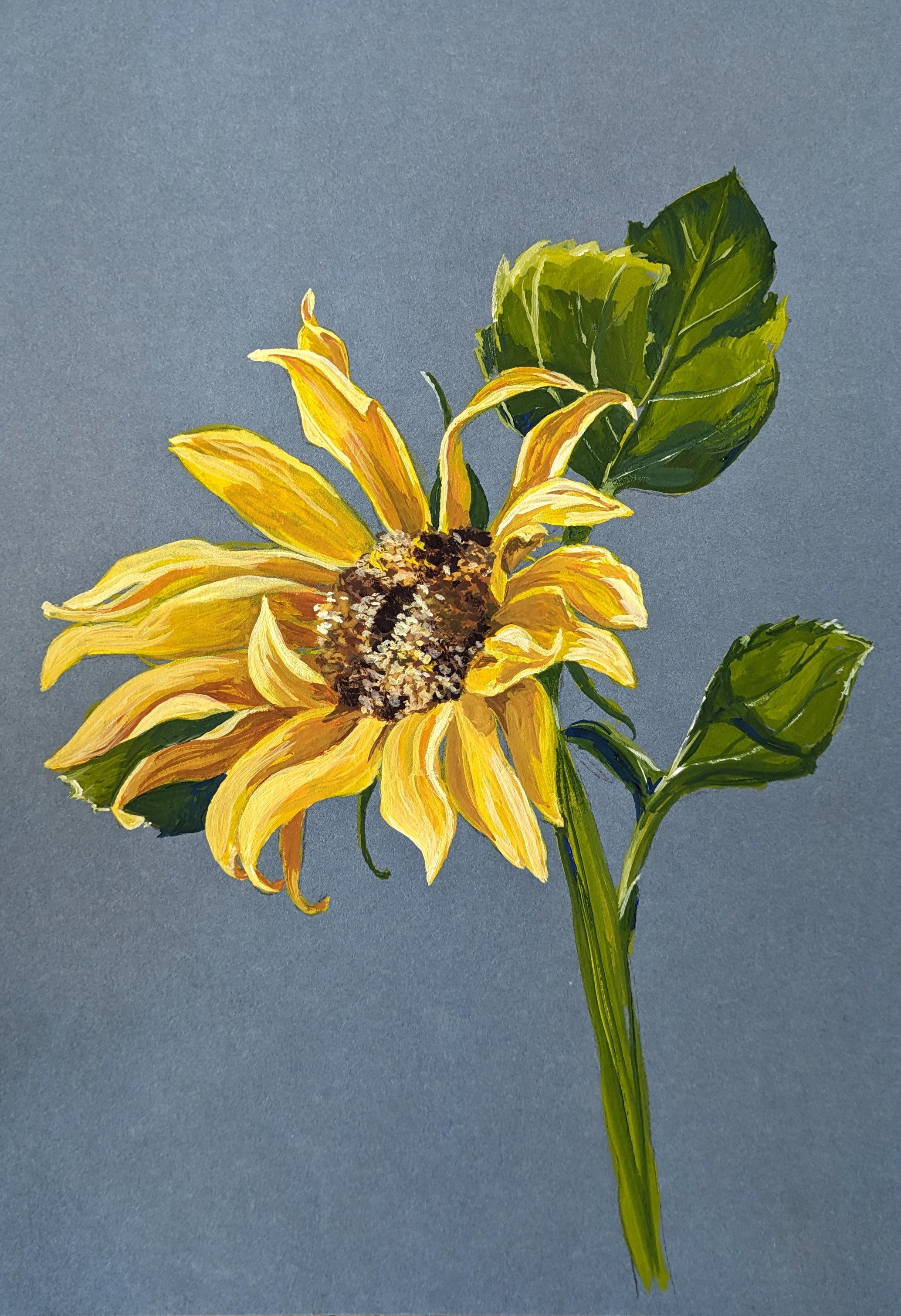 A Gouache painting of the head of a sunflower - colours of July